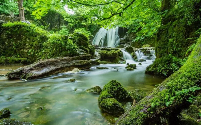 可靠性高质量无人化